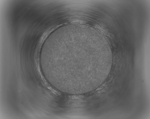 X0000074970241200609221830