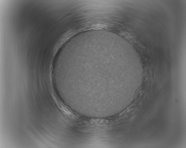 X0000074970242200609221830