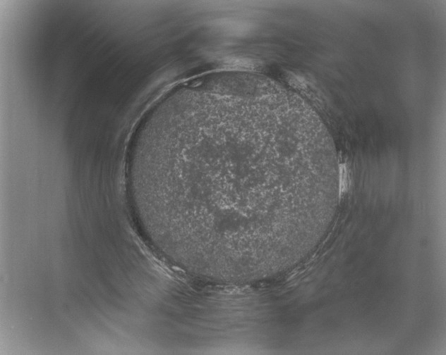 X0000074970243200609221830