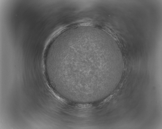 X0000074970245200609221830