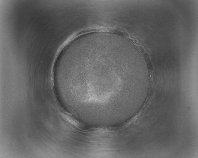 X0000074970246200609221830