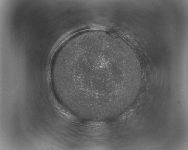 X0000074970247200609221830