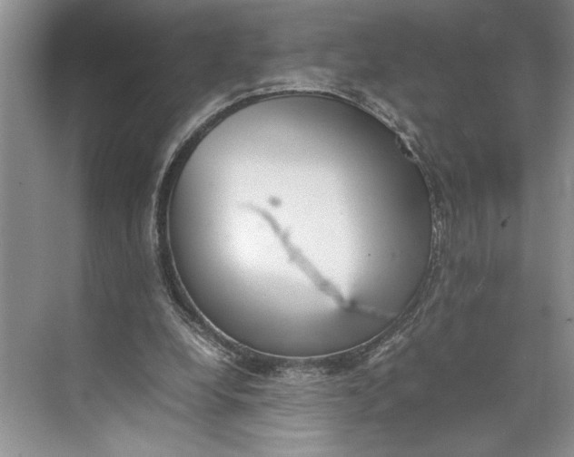 X0000074970248200609221830