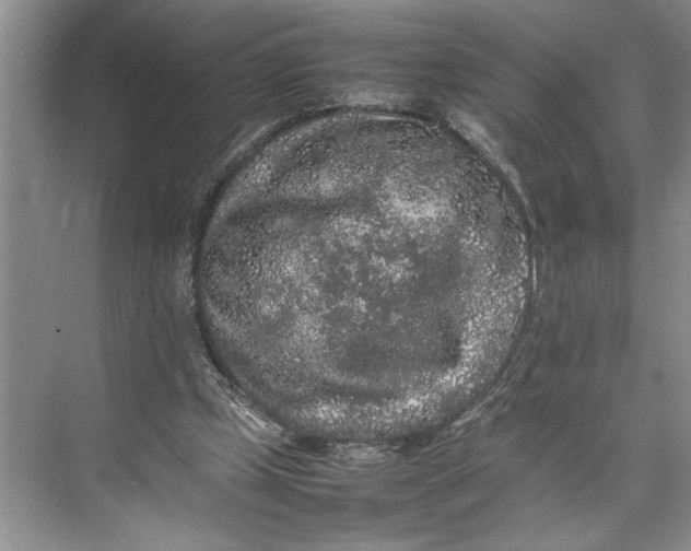 X0000074970249200609221830