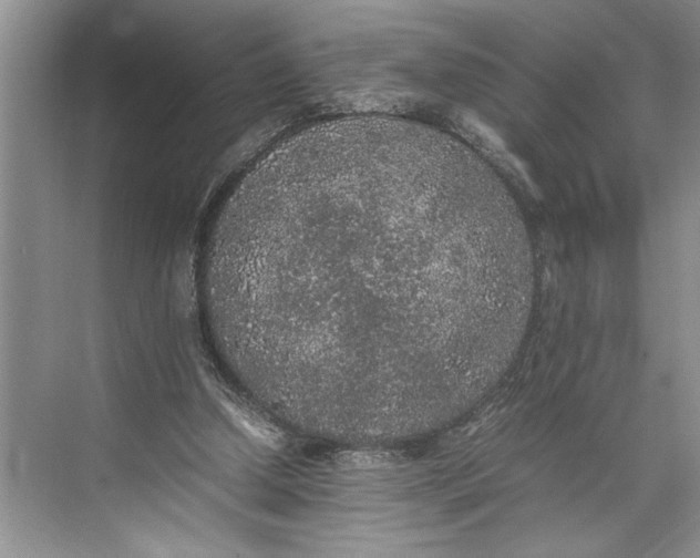 X0000074970250200609221830