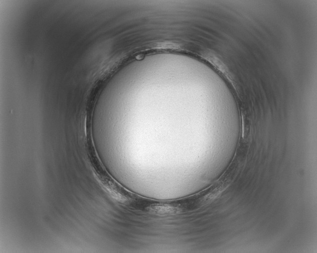 X0000074970253200609221830