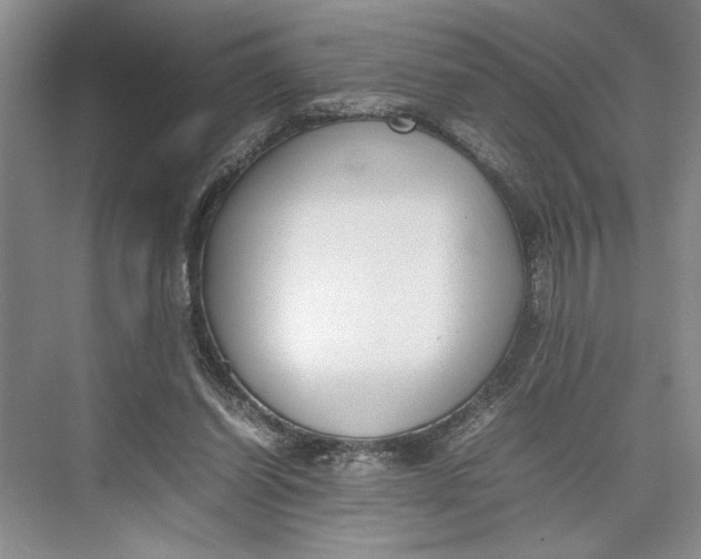 X0000074970254200609221830