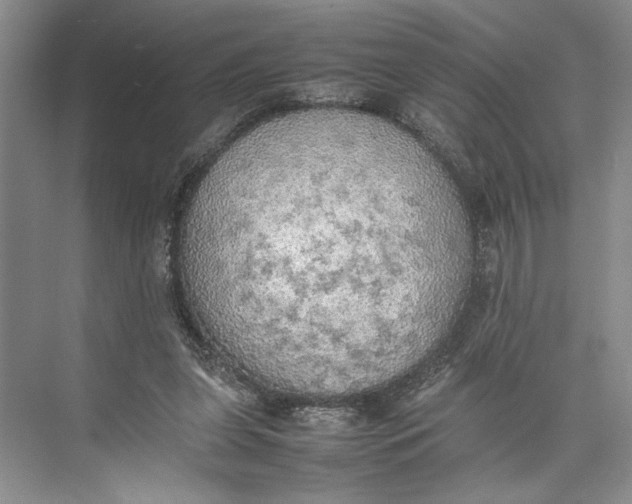 X0000074970255200609221830