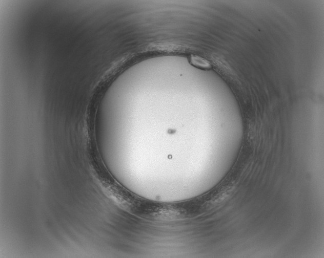 X0000074970256200609221830