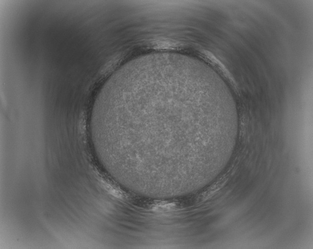 X0000074970257200609221830