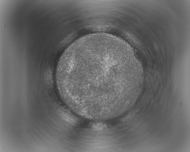 X0000074970258200609221830