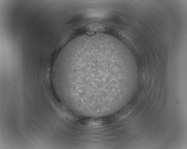 X0000074970263200609221830