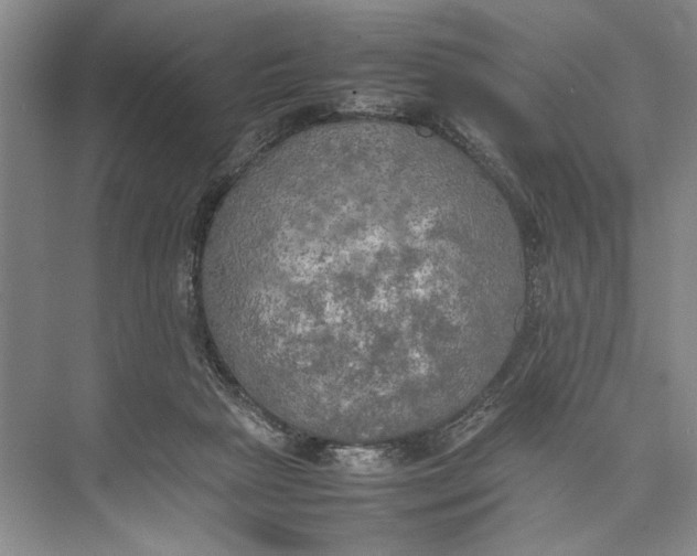 X0000074970265200609221831