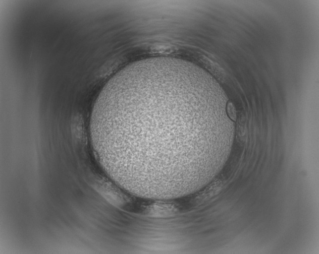 X0000074970270200609221831