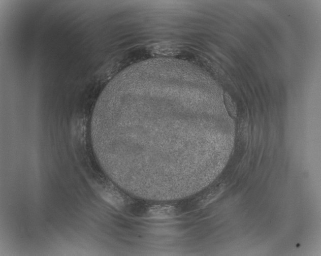 X0000074970271200609221831