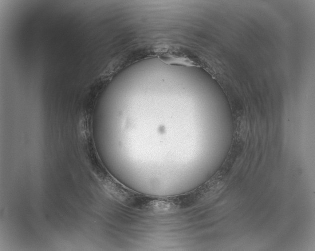 X0000074970272200609221831