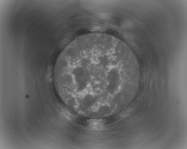 X0000074970273200609221831