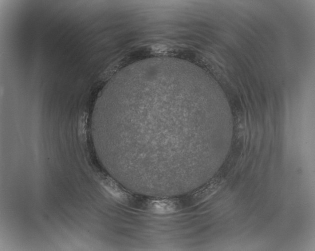 X0000074970275200609221831