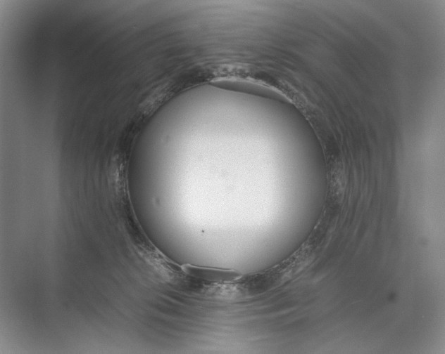 X0000074970276200609221831