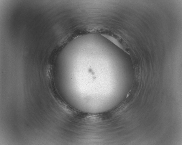 X0000074970280200609221831