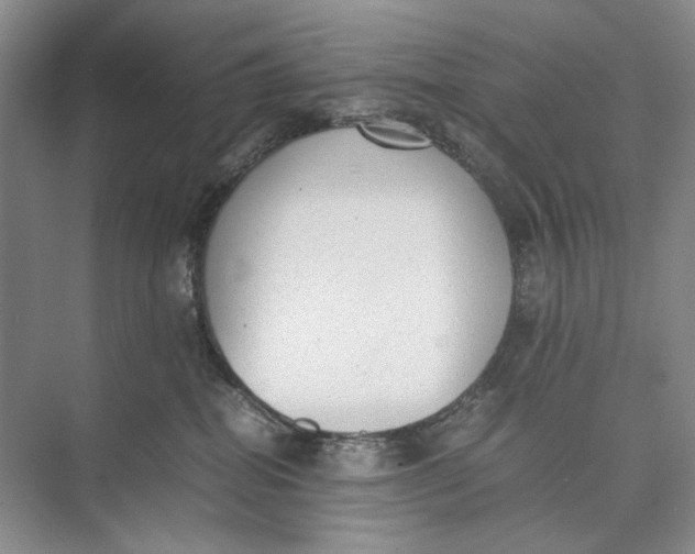 X0000074970282200609221831