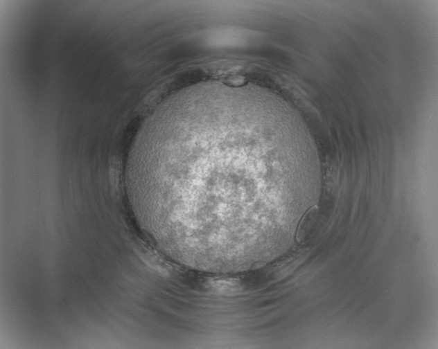 X0000074970283200609221831