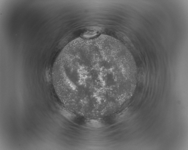 X0000074970285200609221831