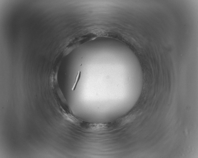 X0000074970288200609221831