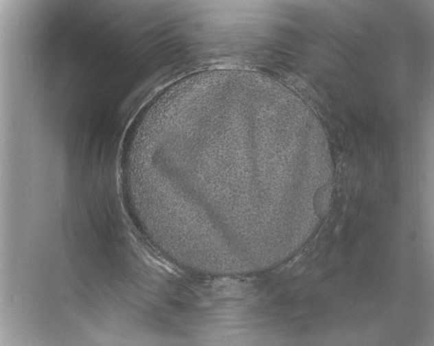 X0000074970290200609221830