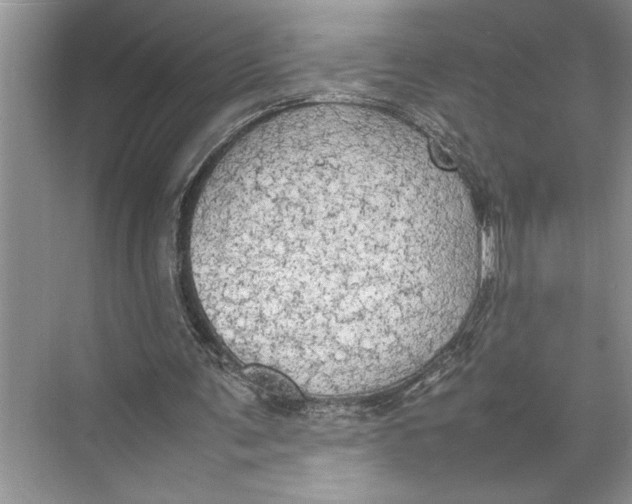 X0000074970291200609221830