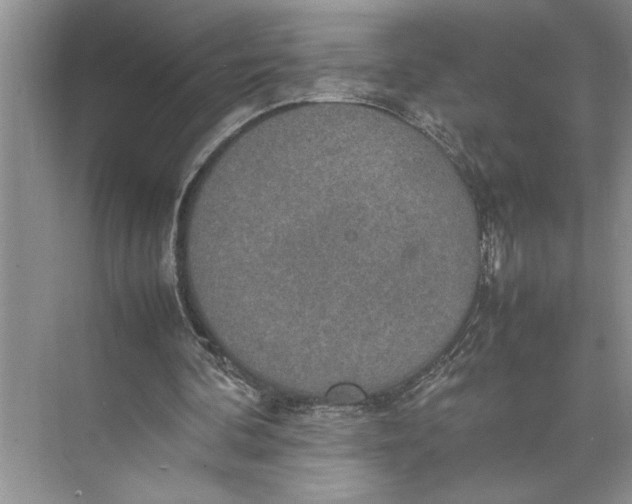 X0000074970292200609221830