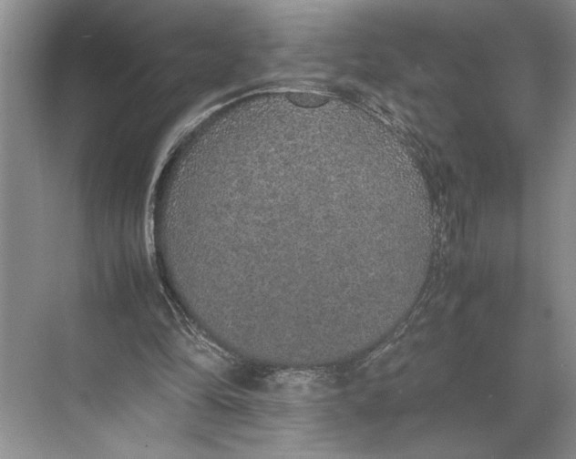 X0000074970294200609221830