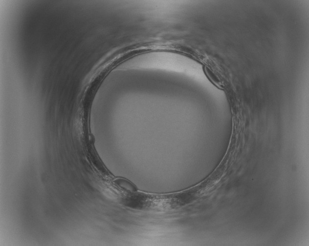 X0000074970295200609221830