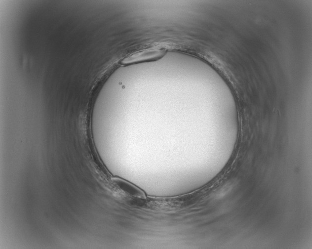 X0000074970297200609221830