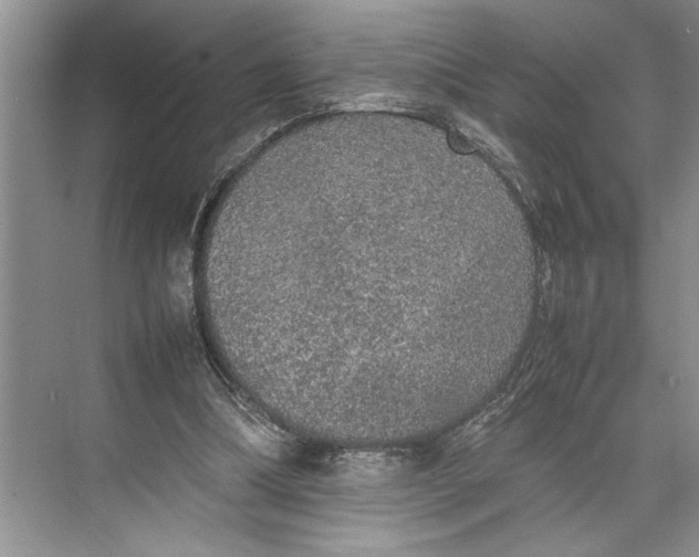 X0000074970298200609221830