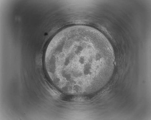 X0000074970299200609221830