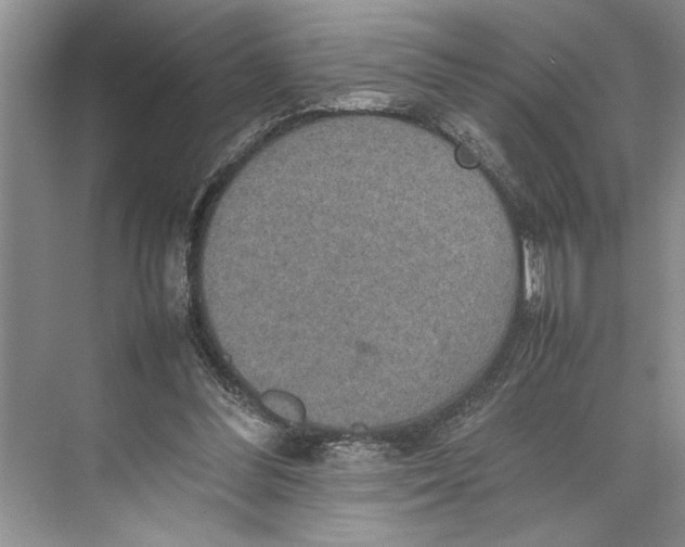 X0000074970300200609221830