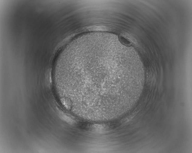 X0000074970302200609221830