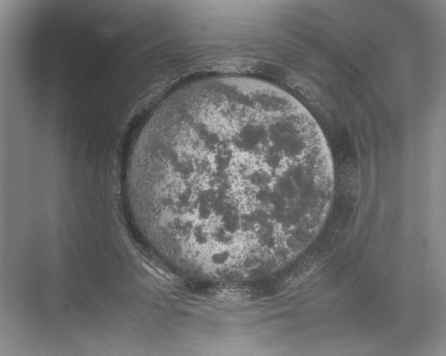 X0000074970303200609221830