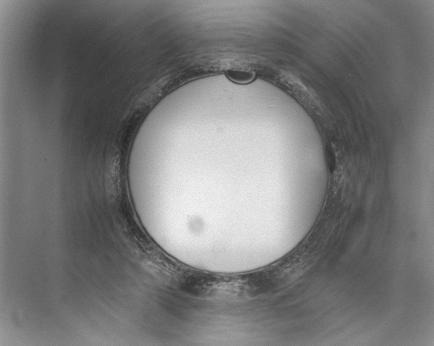 X0000074970306200609221830