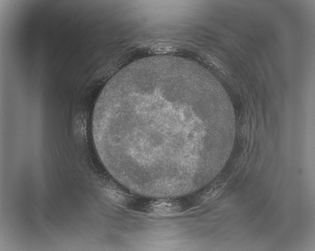 X0000074970315200609221830