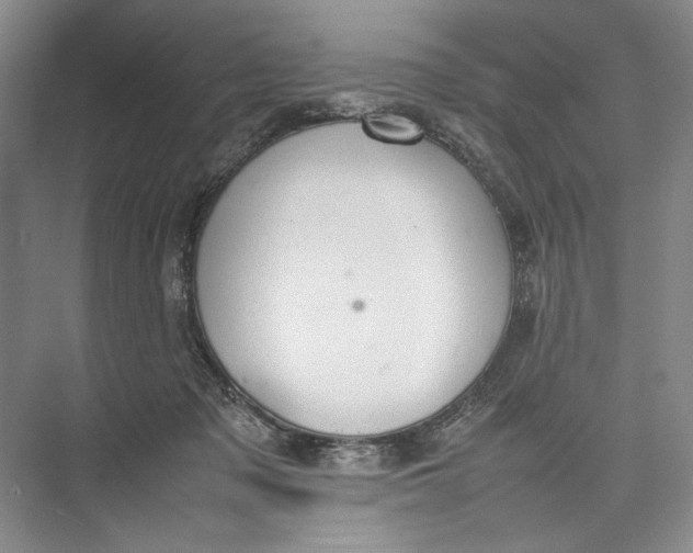 X0000074970317200609221830