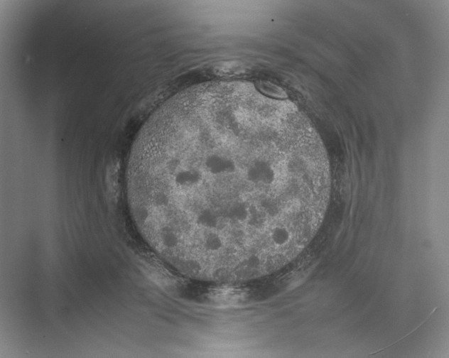 X0000074970319200609221830