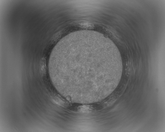 X0000074970320200609221830