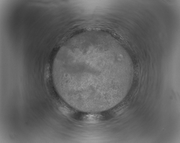 X0000074970323200609221830