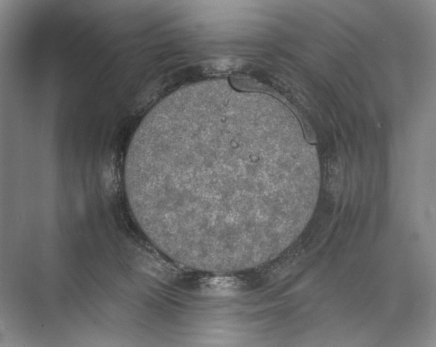 X0000074970324200609221830