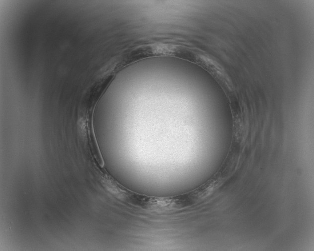 X0000074970329200609221829