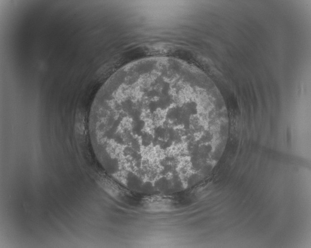 X0000074970331200609221829