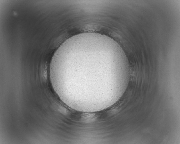 X0000074970334200609221829