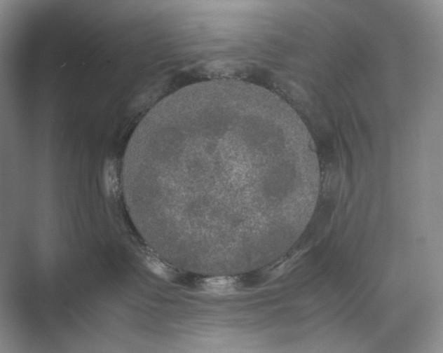 X0000074970335200609221829